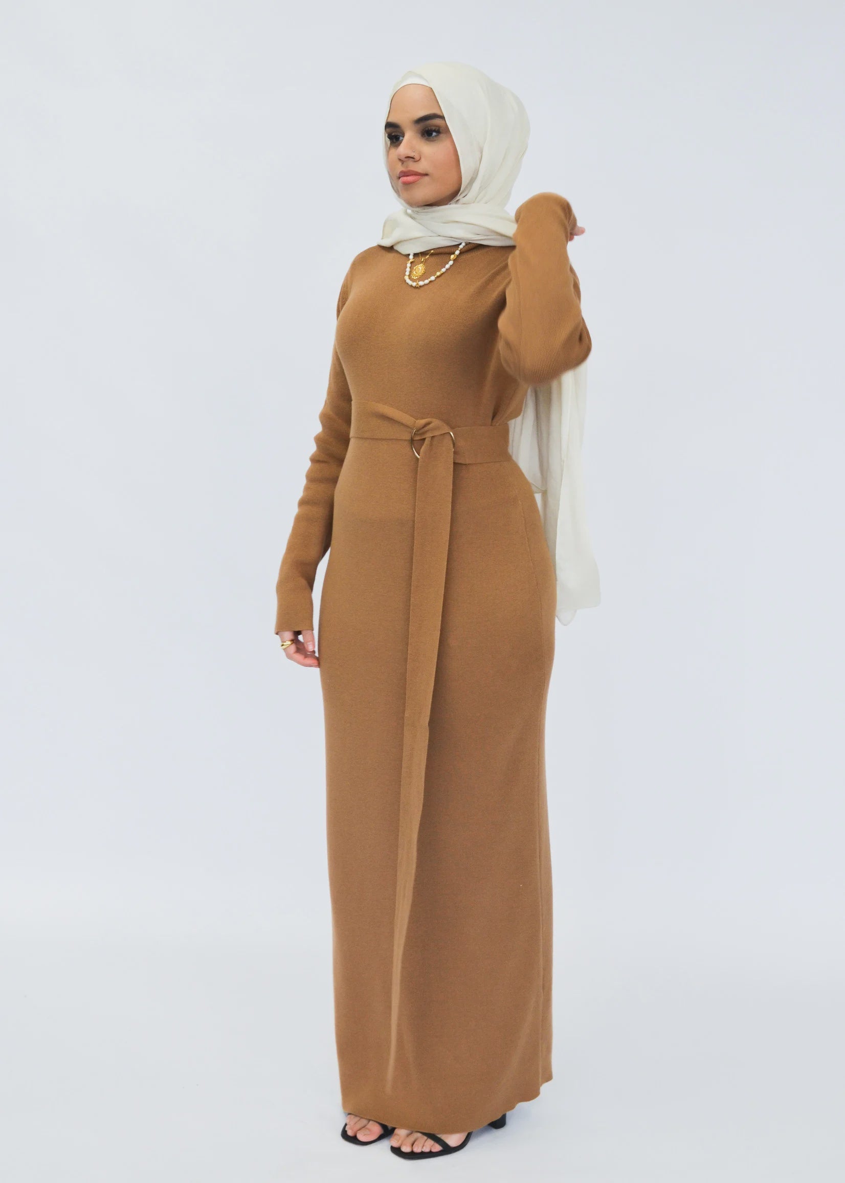 Wintertide Belted Dress - Camel