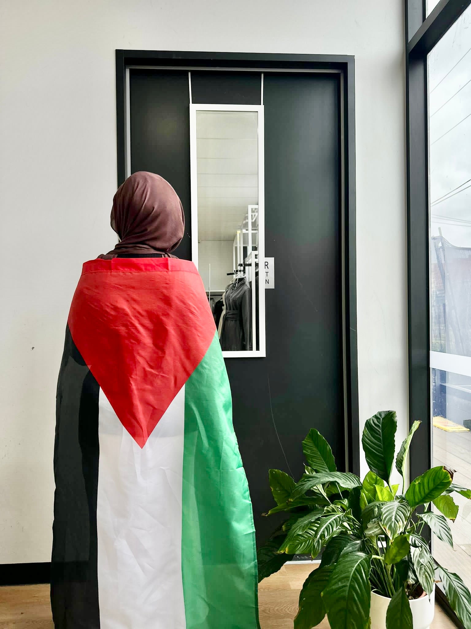 Large Palestine Flag